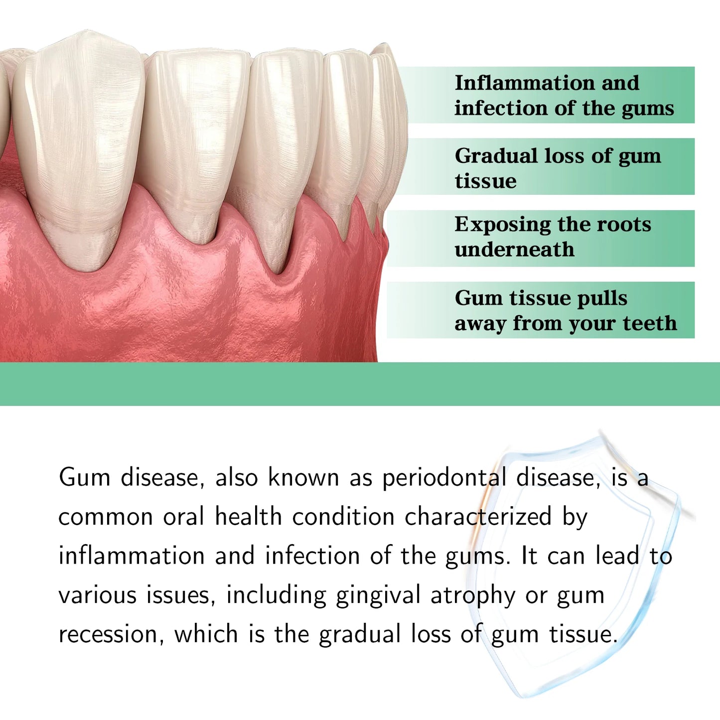 Gum Repair Drops – Receding Gum Care & Swelling Relief, Oral Hygiene & Stain Removal (30ml)